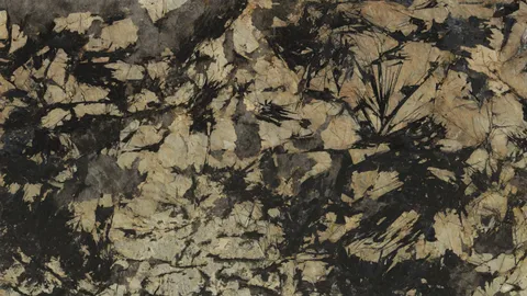 Кварцит Patagonia Black